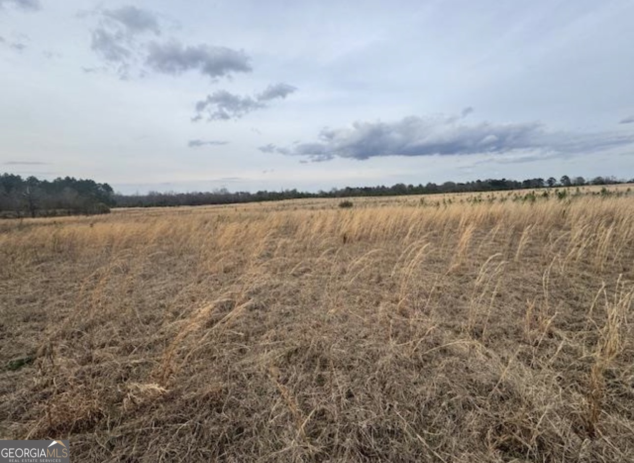 0 Mark Wood Road (Lot 5) Dexter GA 31019