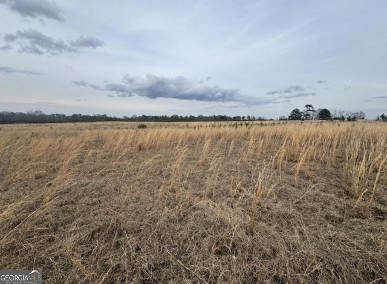 0 Mark Wood Road (Lot 5) Dexter GA 31019