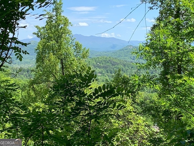 Lot 3 Morgan Ridge Drive Young Harris GA 30582