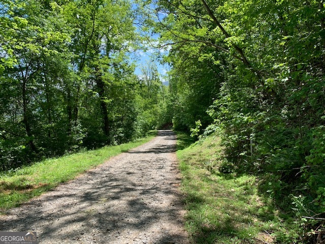 Lot 3 Morgan Ridge Drive Young Harris GA 30582