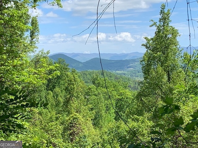 Lot 3 Morgan Ridge Drive Young Harris GA 30582