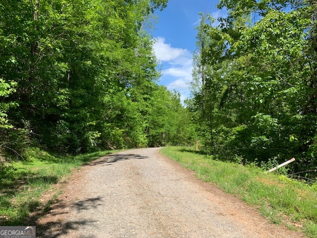 Lot 3 Morgan Ridge Drive Young Harris GA 30582