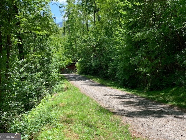 Lot 3 Morgan Ridge Drive Young Harris GA 30582