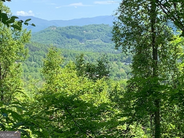 Lot 3 Morgan Ridge Drive Young Harris GA 30582