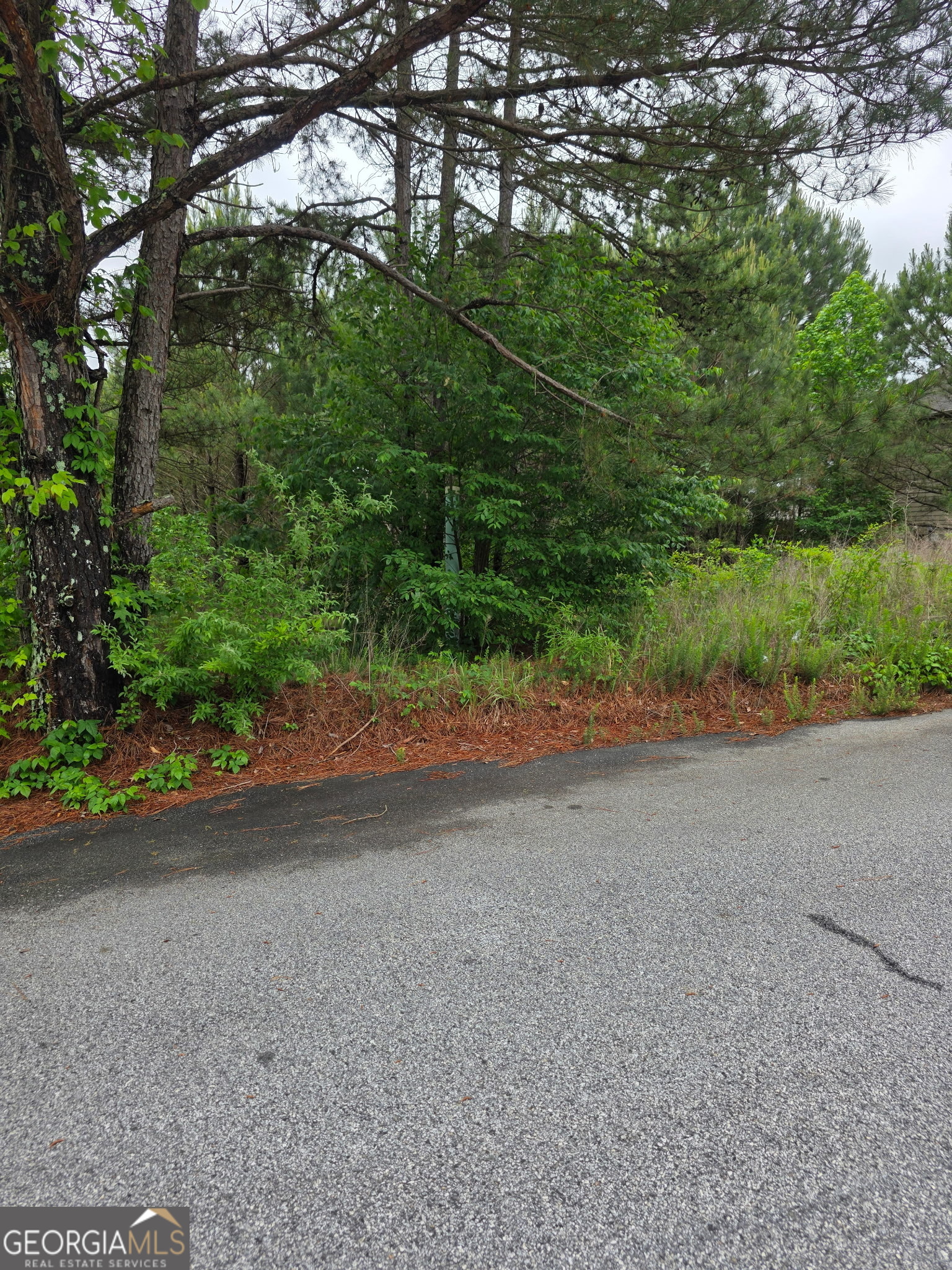 6372 SW Flat Rock Land SW Atlanta GA 30349