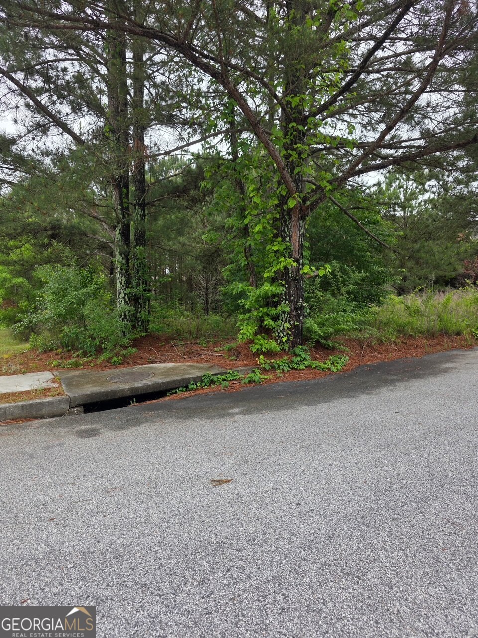 6372 SW Flat Rock Land SW Atlanta GA 30349