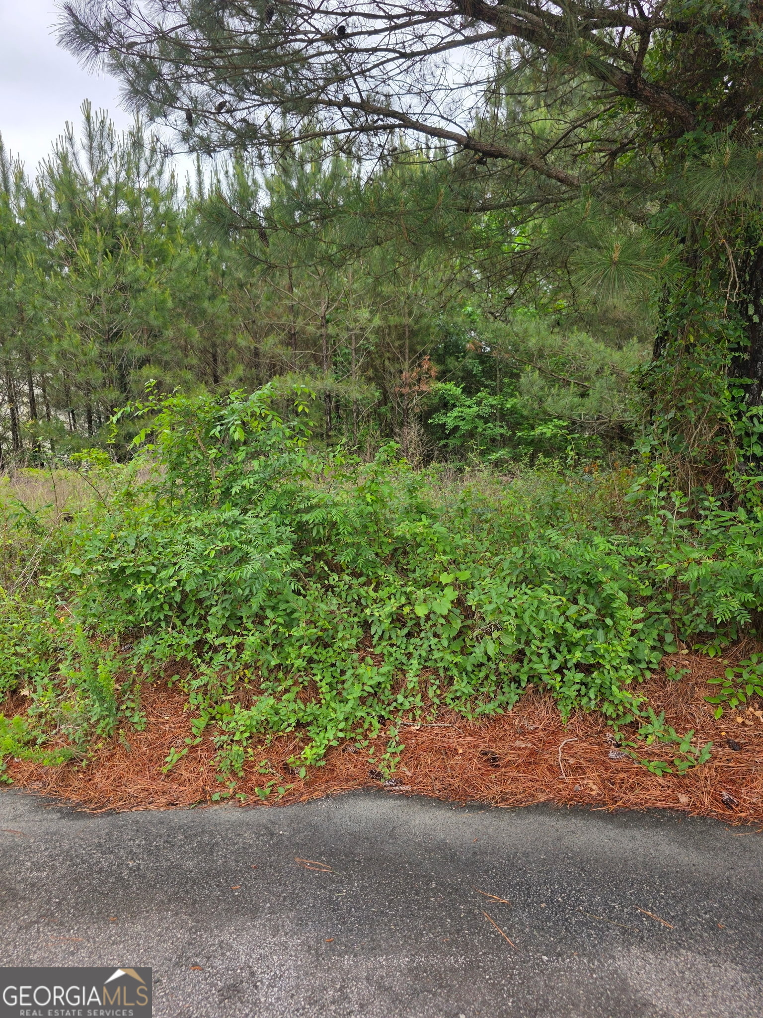 6372 SW Flat Rock Land SW Atlanta GA 30349