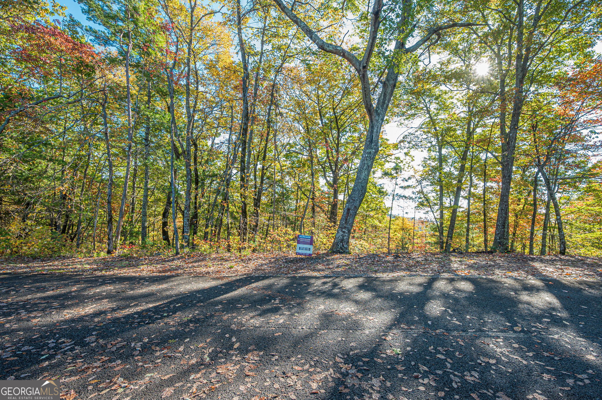Lot 19 Oceola Drive Ellijay GA 30540