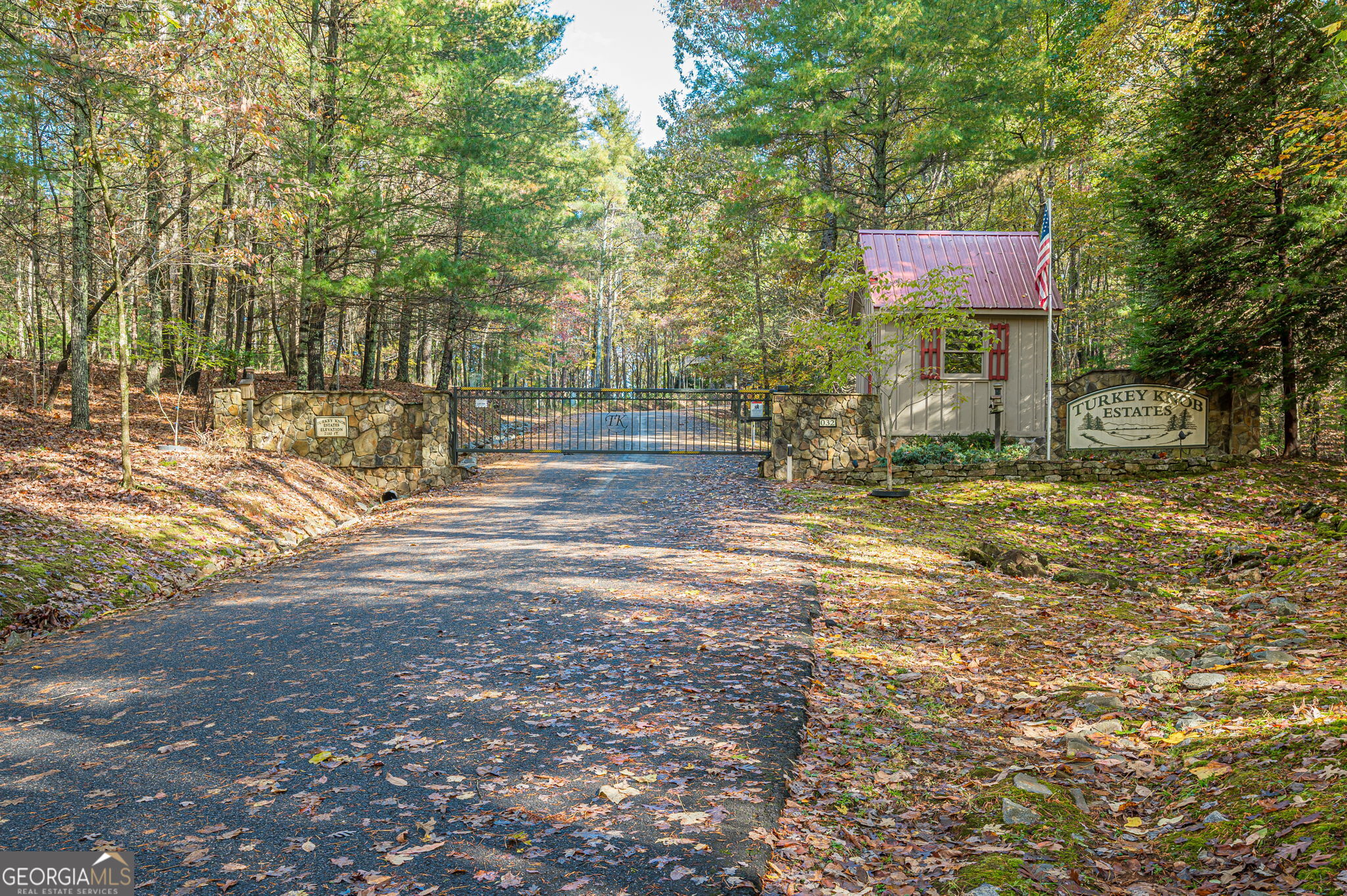Lot 19 Oceola Drive Ellijay GA 30540
