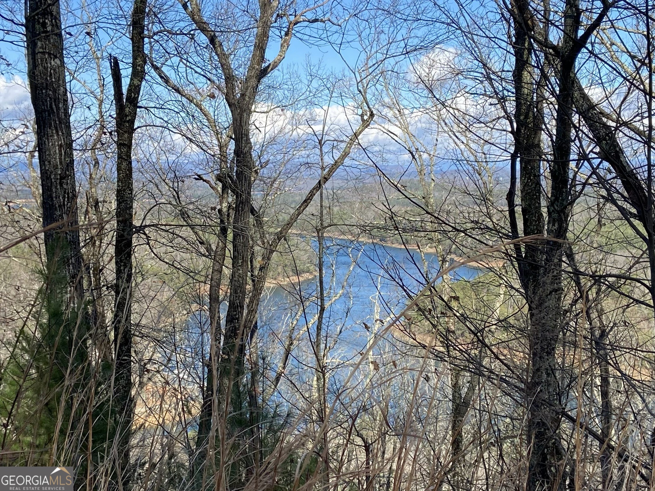 #139 Genessee Path Blue Ridge GA 30513