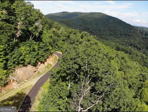 #139 Genessee Path Blue Ridge GA 30513