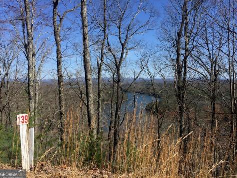 #139 Genessee Path Blue Ridge GA 30513