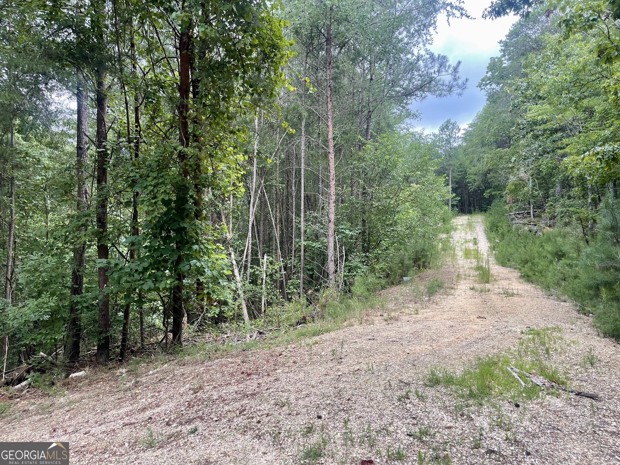0 White Oak Road Summerville GA 30747