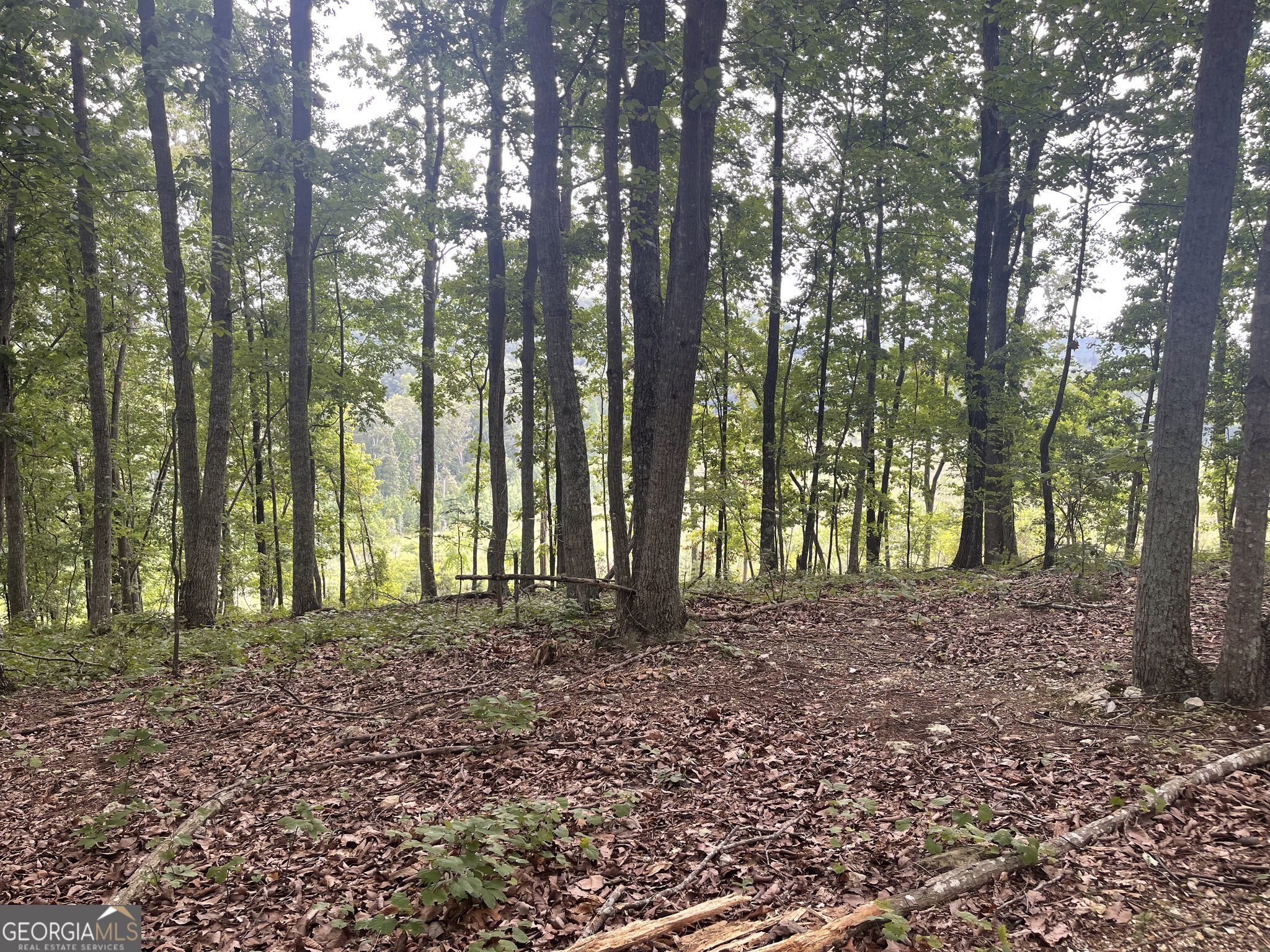 0 White Oak Road Summerville GA 30747