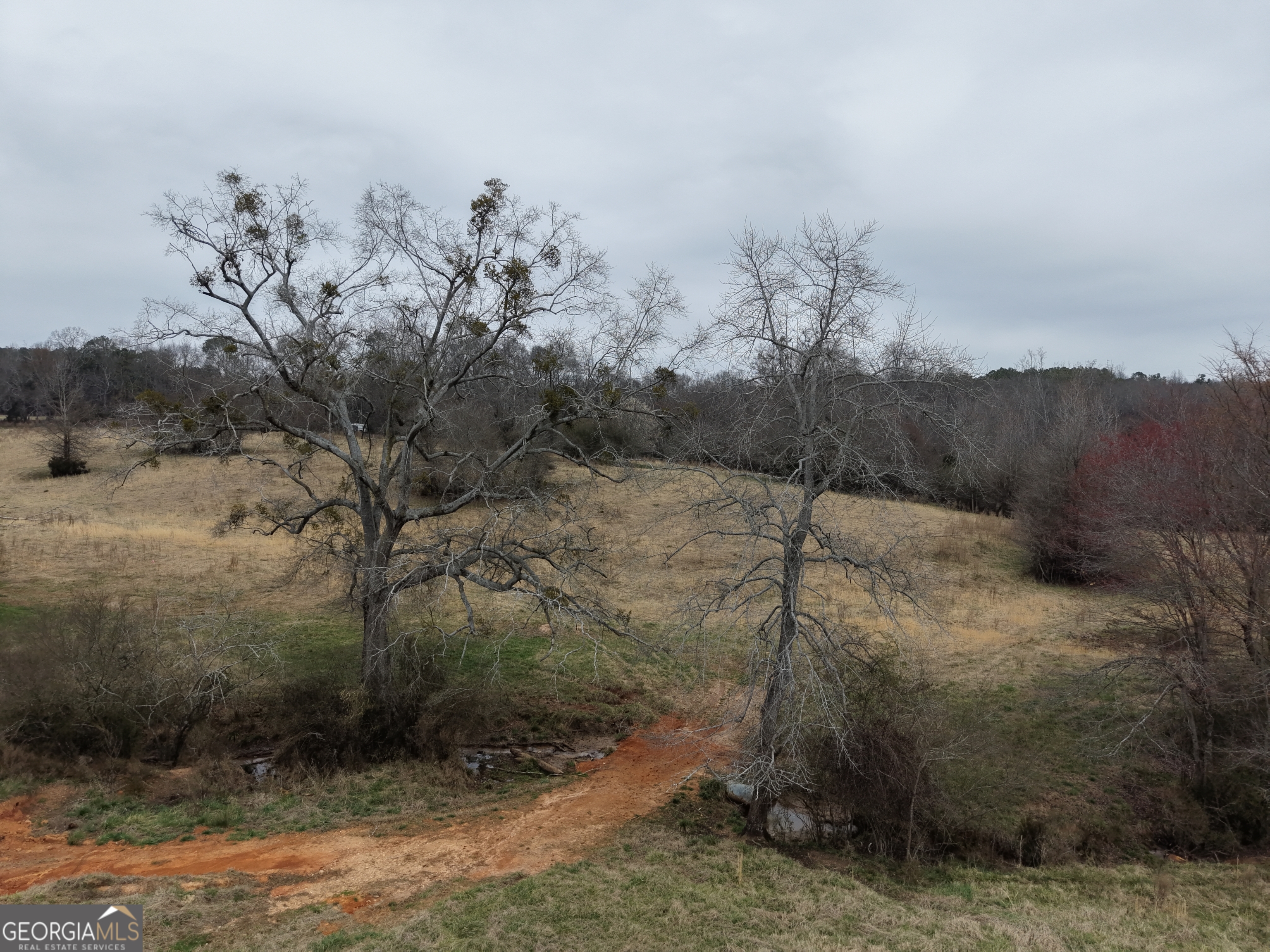 9 Red Rose Court Nicholson GA 30565