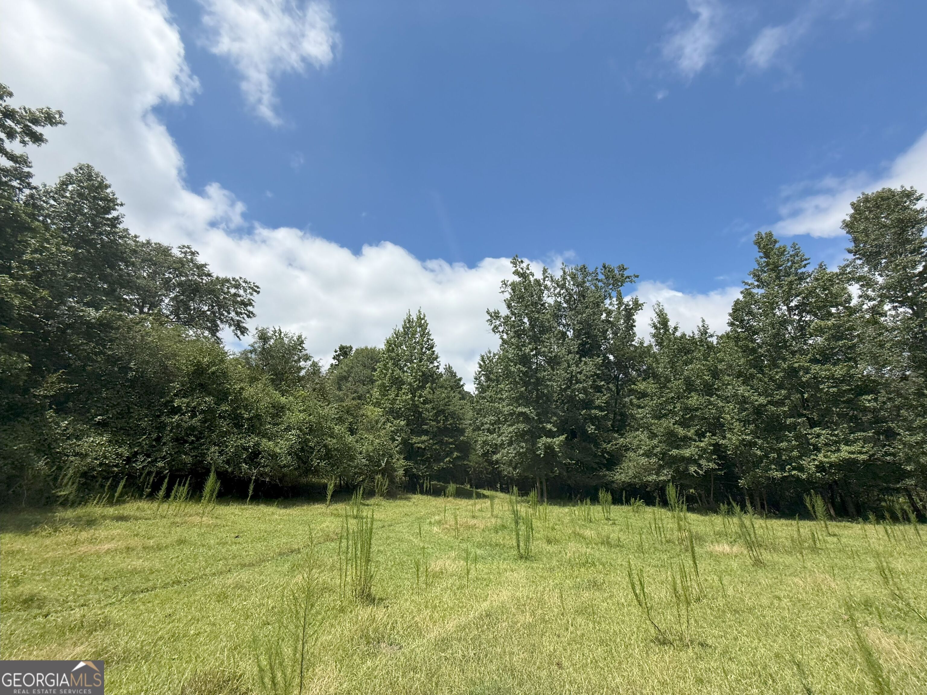 9 Red Rose Court Nicholson GA 30565