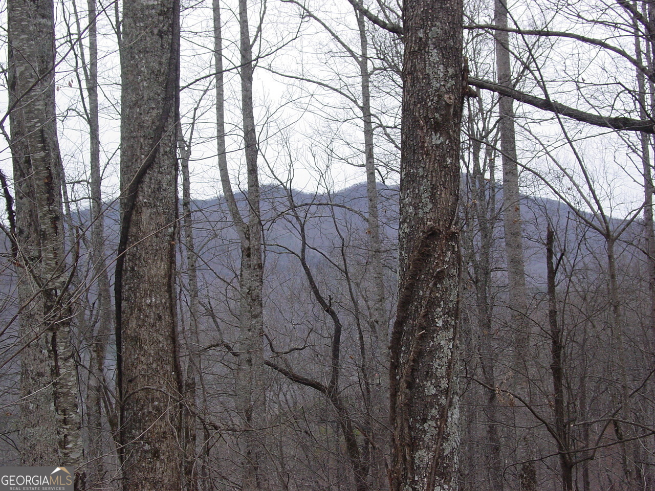 #17 Roaring Ridge Hiawassee GA 30546