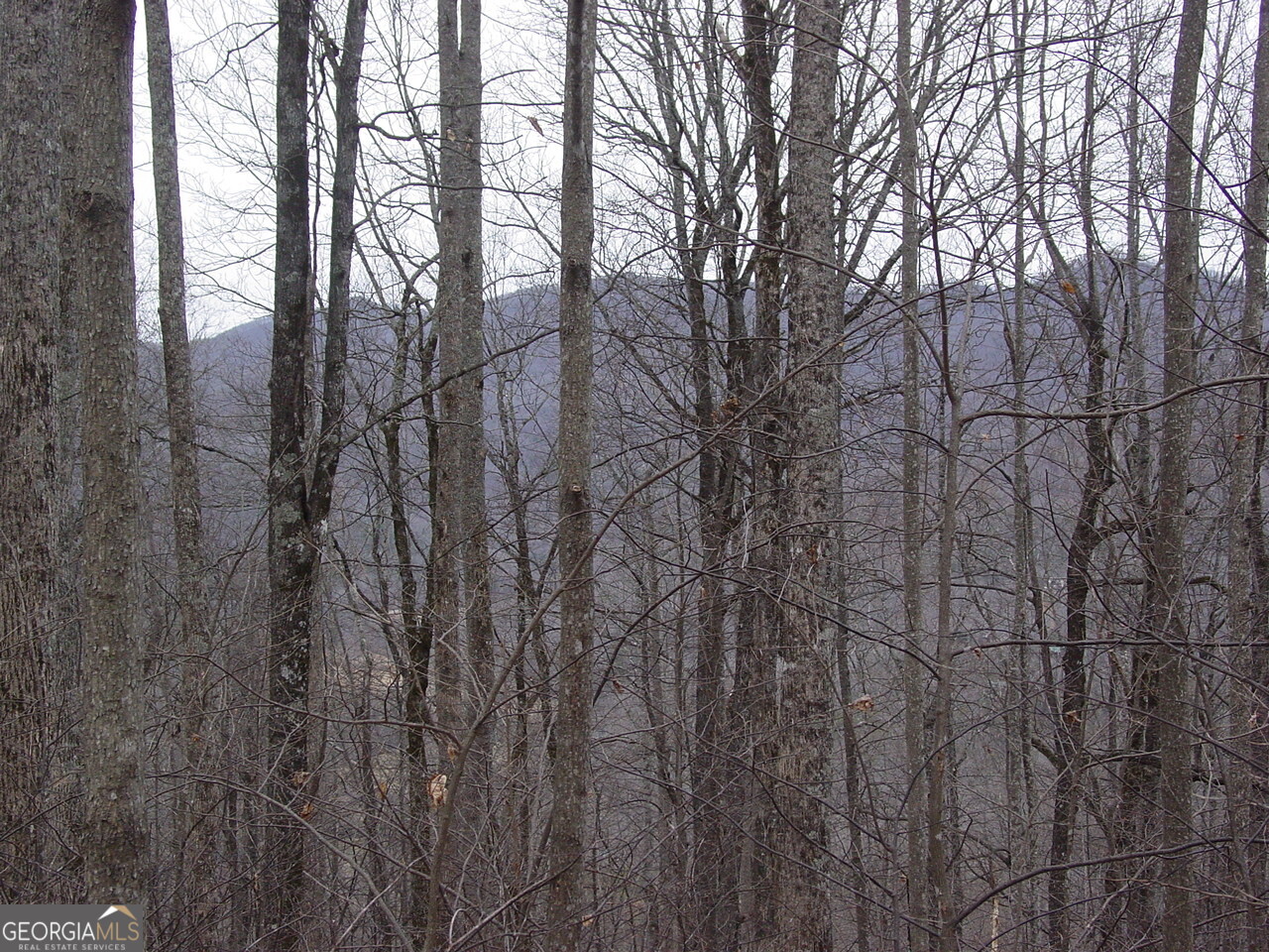 #17 Roaring Ridge Hiawassee GA 30546