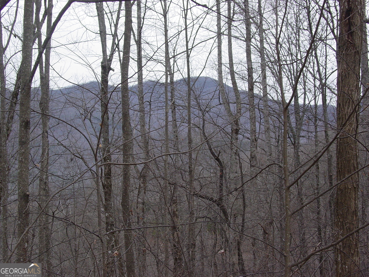#17 Roaring Ridge Hiawassee GA 30546