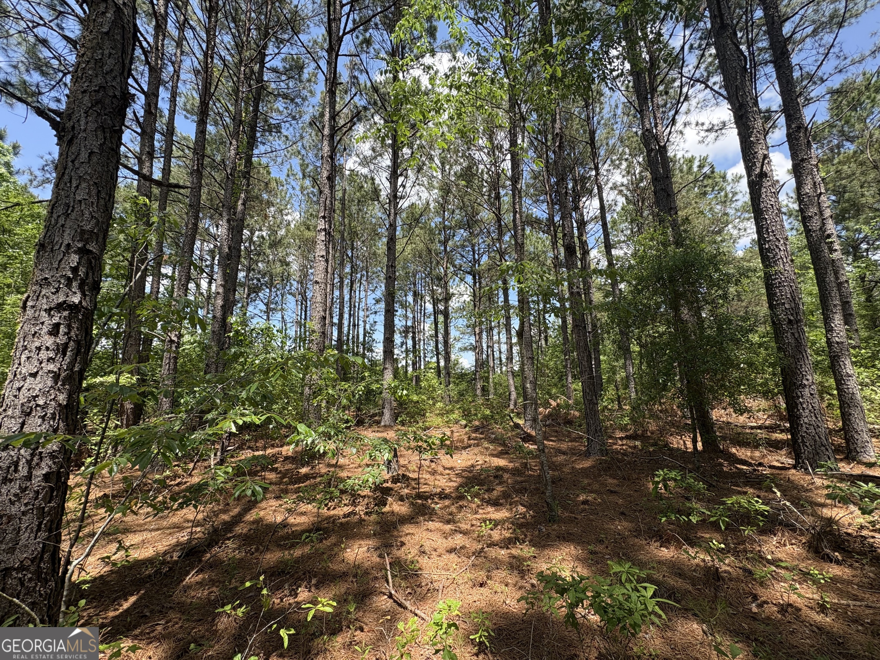 850 Buttermilk Road Sylvania GA 30467
