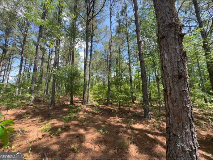 850 Buttermilk Road Sylvania GA 30467