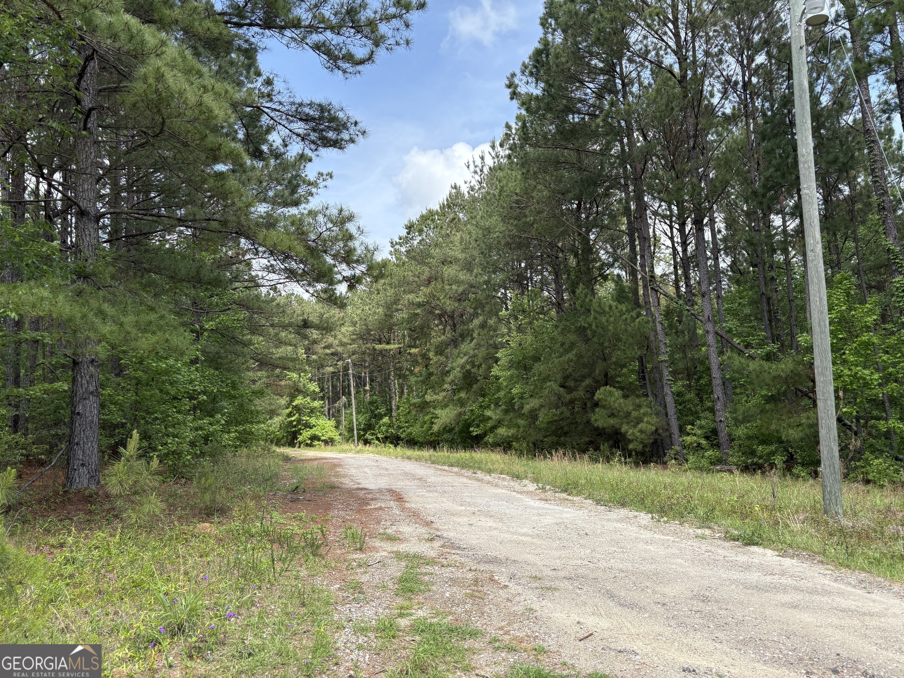 850 Buttermilk Road Sylvania GA 30467