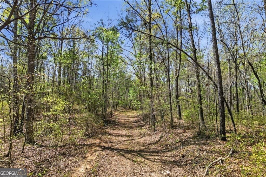3094 Flatbottom Road Ball Ground GA 30107