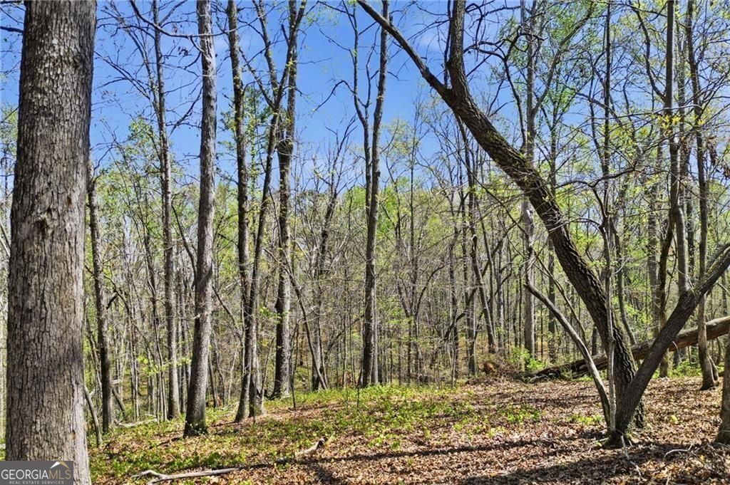 3094 Flatbottom Road Ball Ground GA 30107