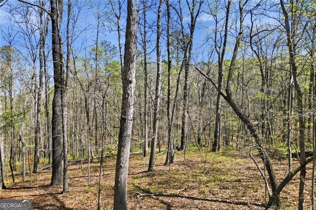 3094 Flatbottom Road Ball Ground GA 30107