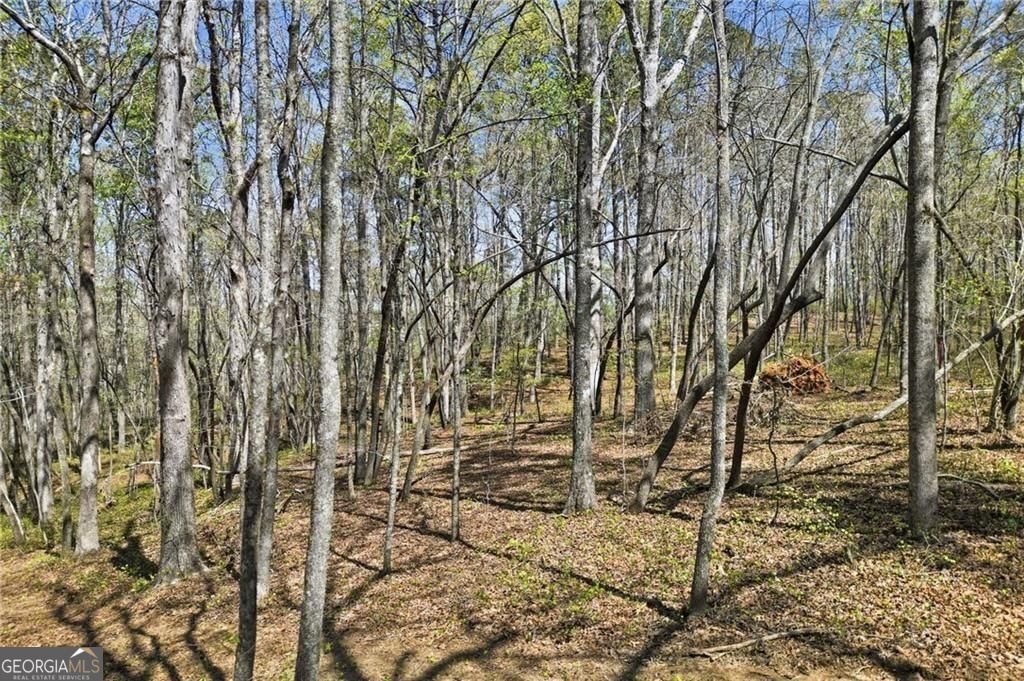 3094 Flatbottom Road Ball Ground GA 30107