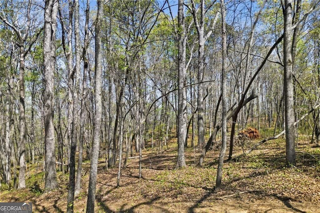 3094 Flatbottom Road Ball Ground GA 30107