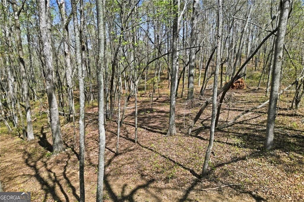 3094 Flatbottom Road Ball Ground GA 30107