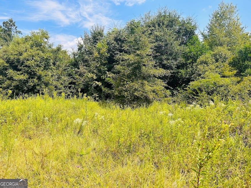 1434 South Mock Road Albany GA 31708