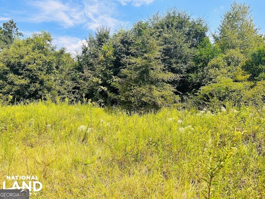 1434 South Mock Road Albany GA 31708
