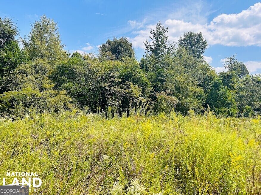1434 South Mock Road Albany GA 31708
