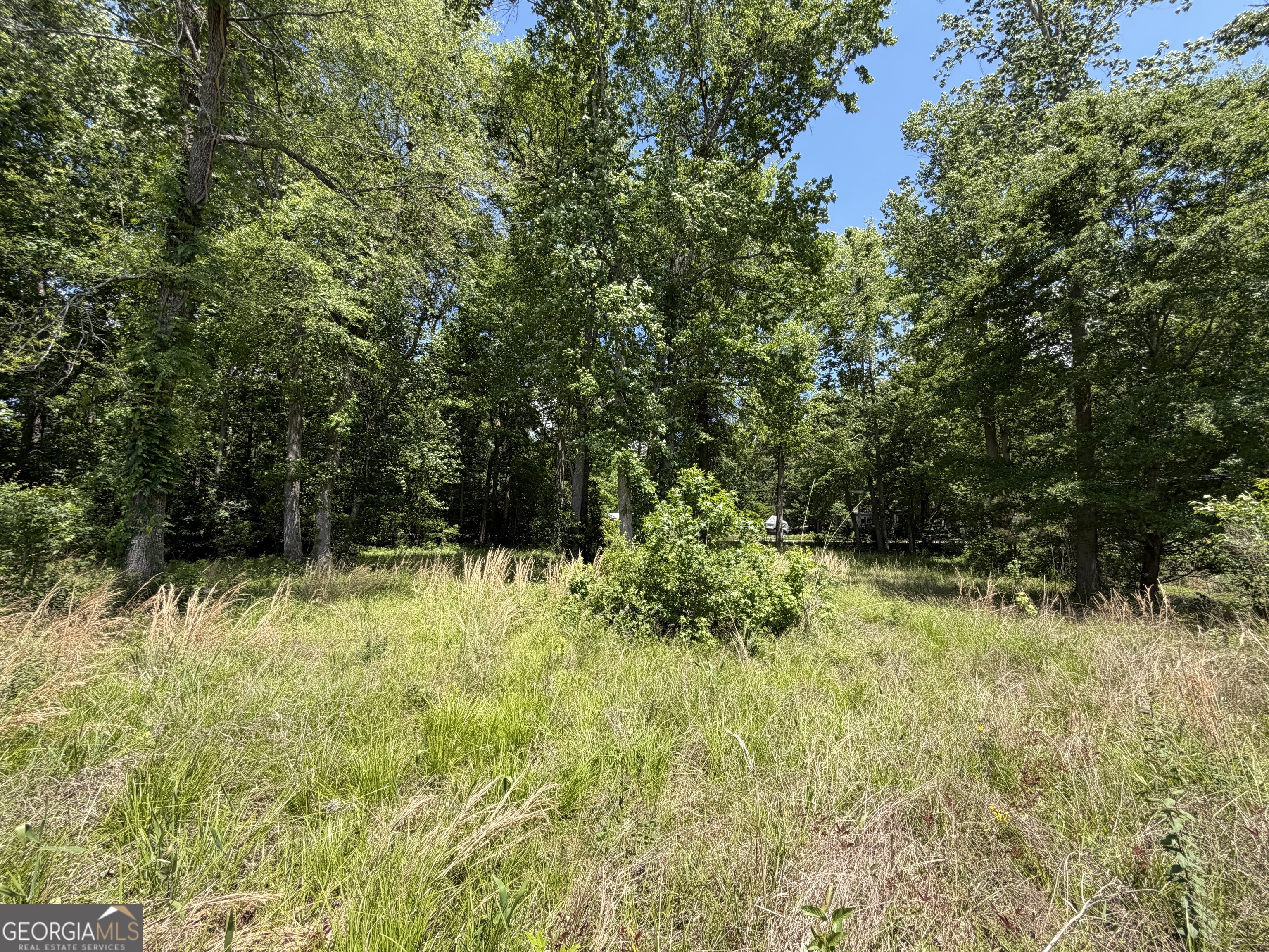 69 Acre Lakeshore Drive N Ivey GA 31031