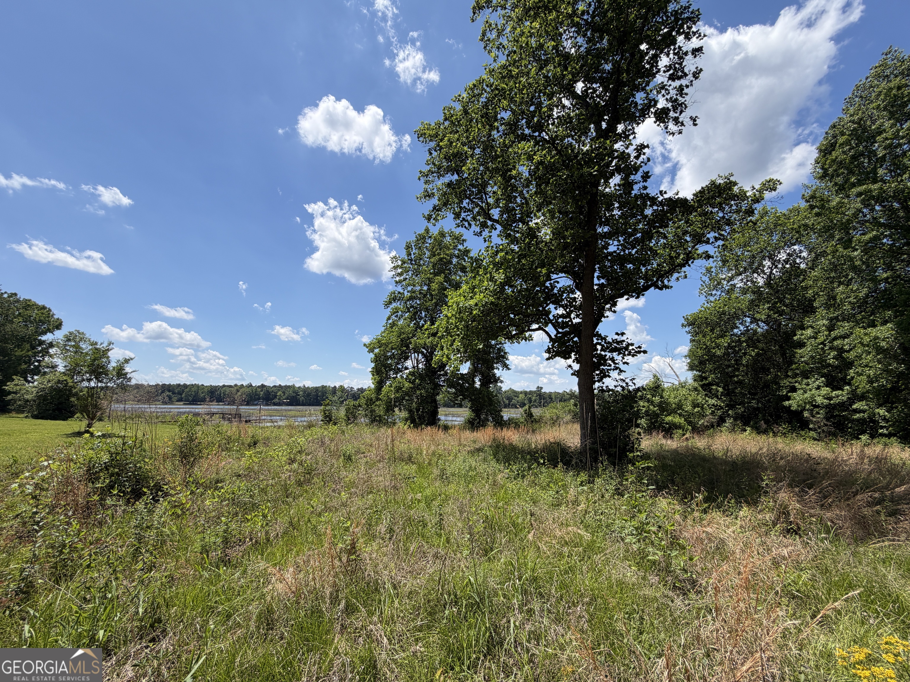 69 Acre Lakeshore Drive N Ivey GA 31031