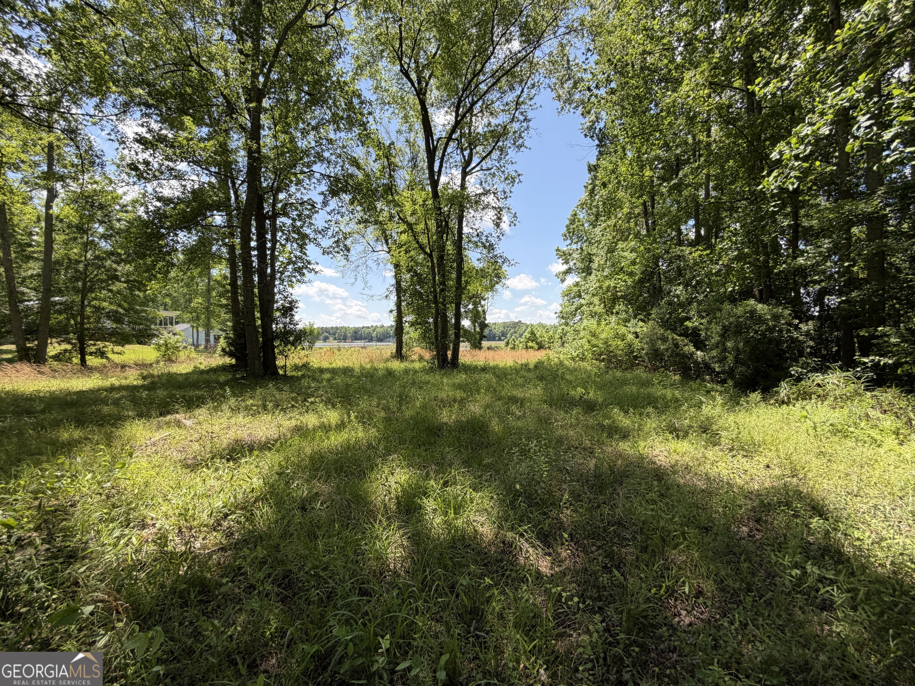69 Acre Lakeshore Drive N Ivey GA 31031