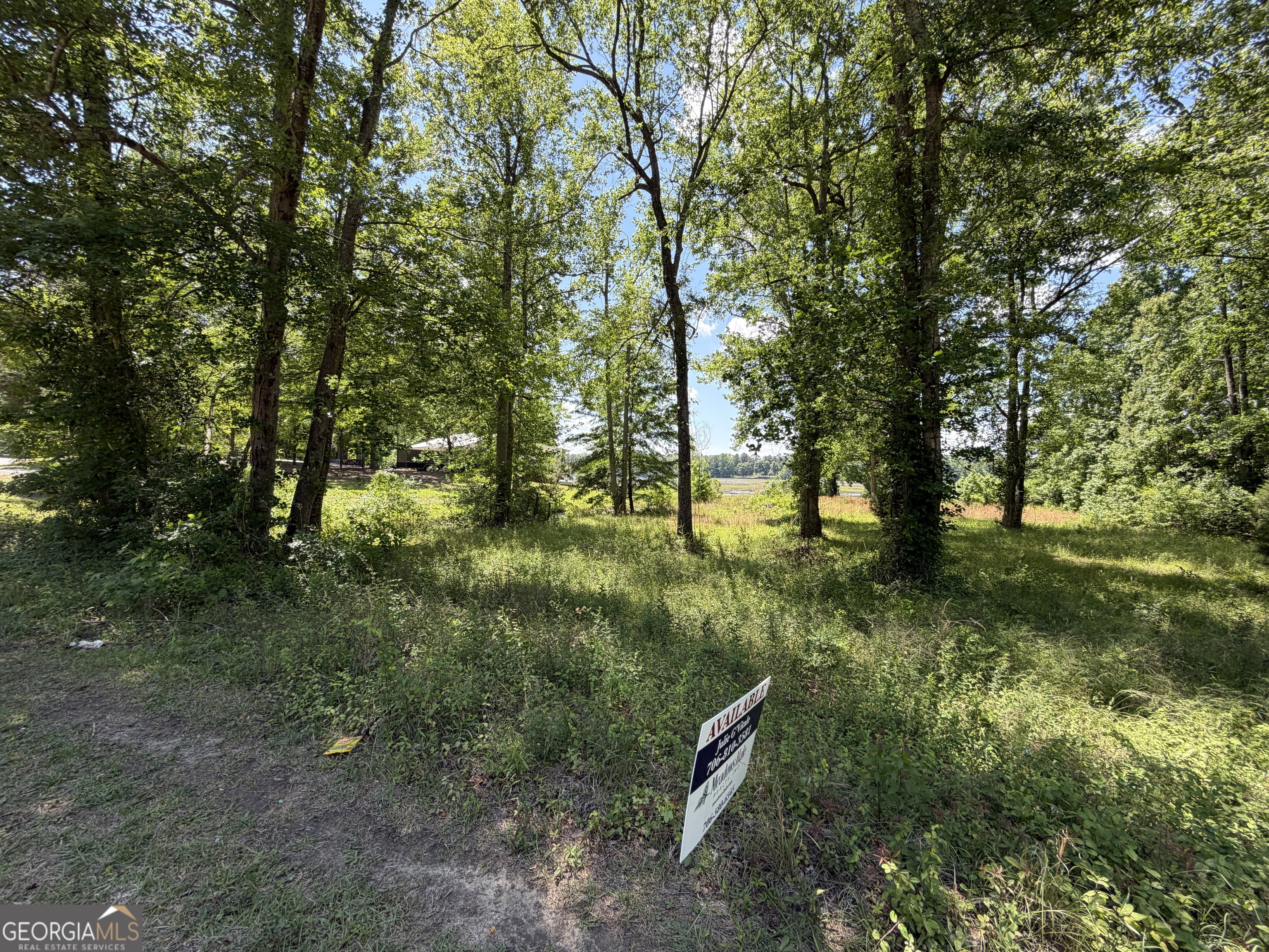 69 Acre Lakeshore Drive N Ivey GA 31031