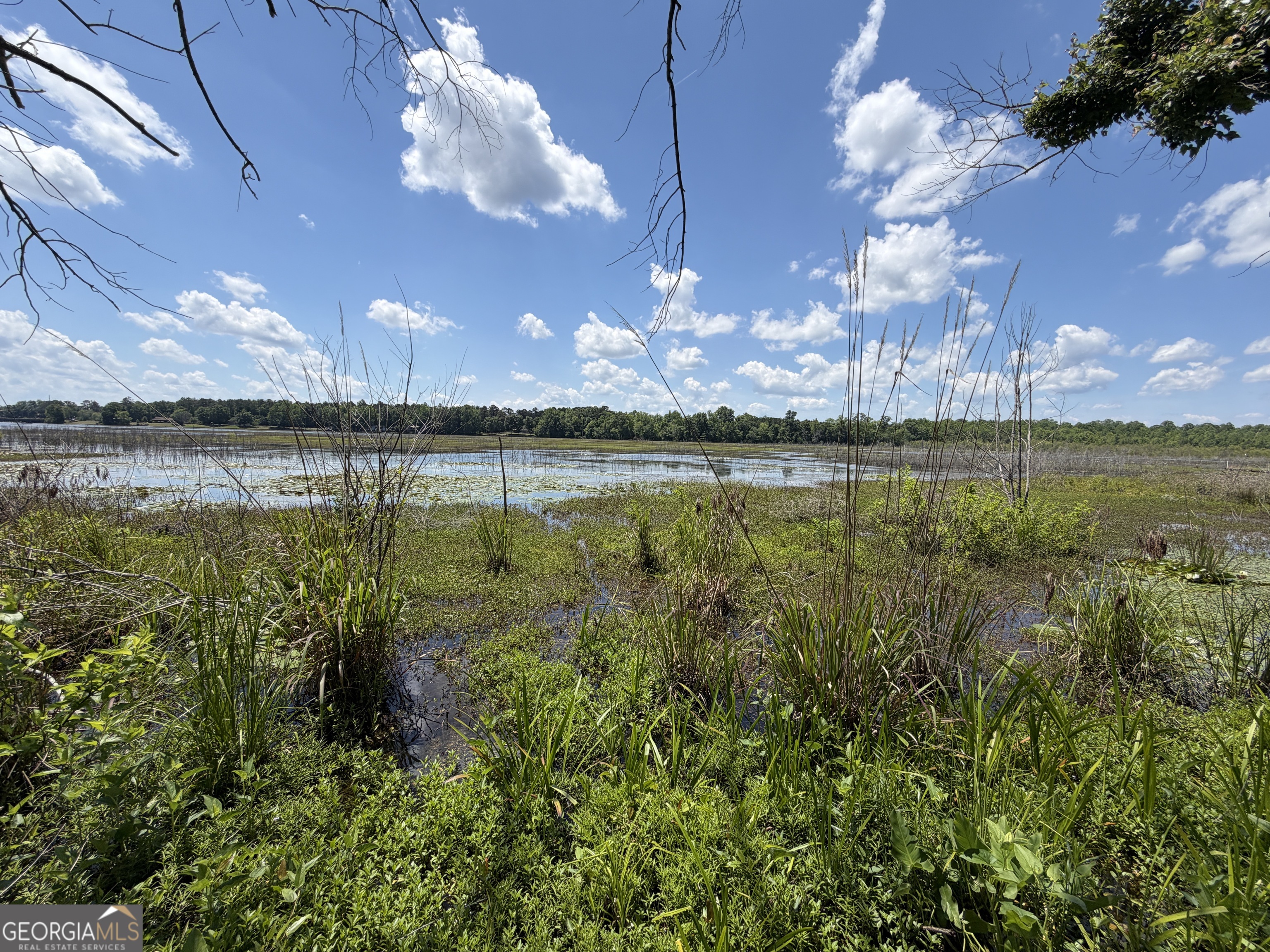 69 Acre Lakeshore Drive N Ivey GA 31031