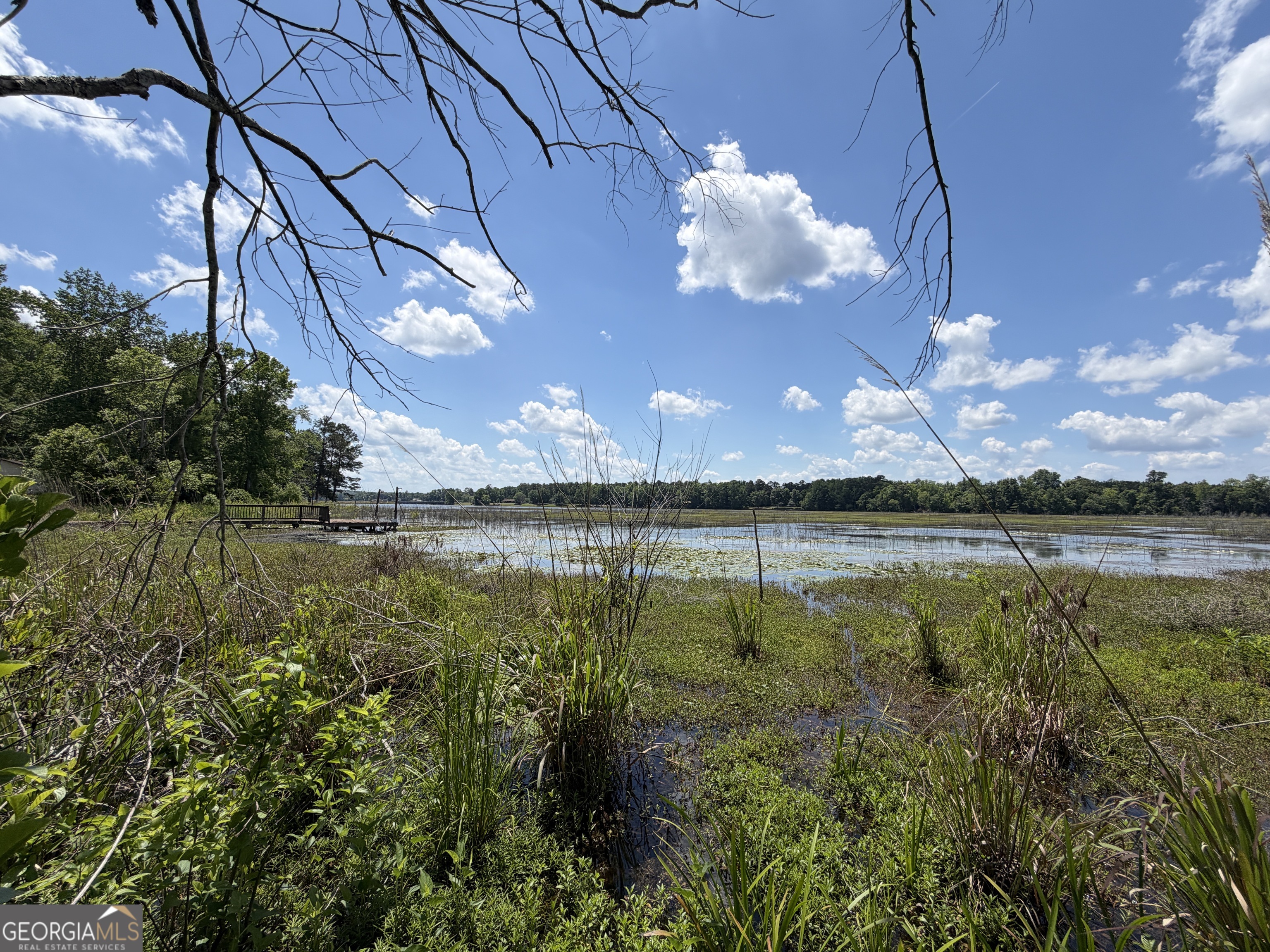 69 Acre Lakeshore Drive N Ivey GA 31031