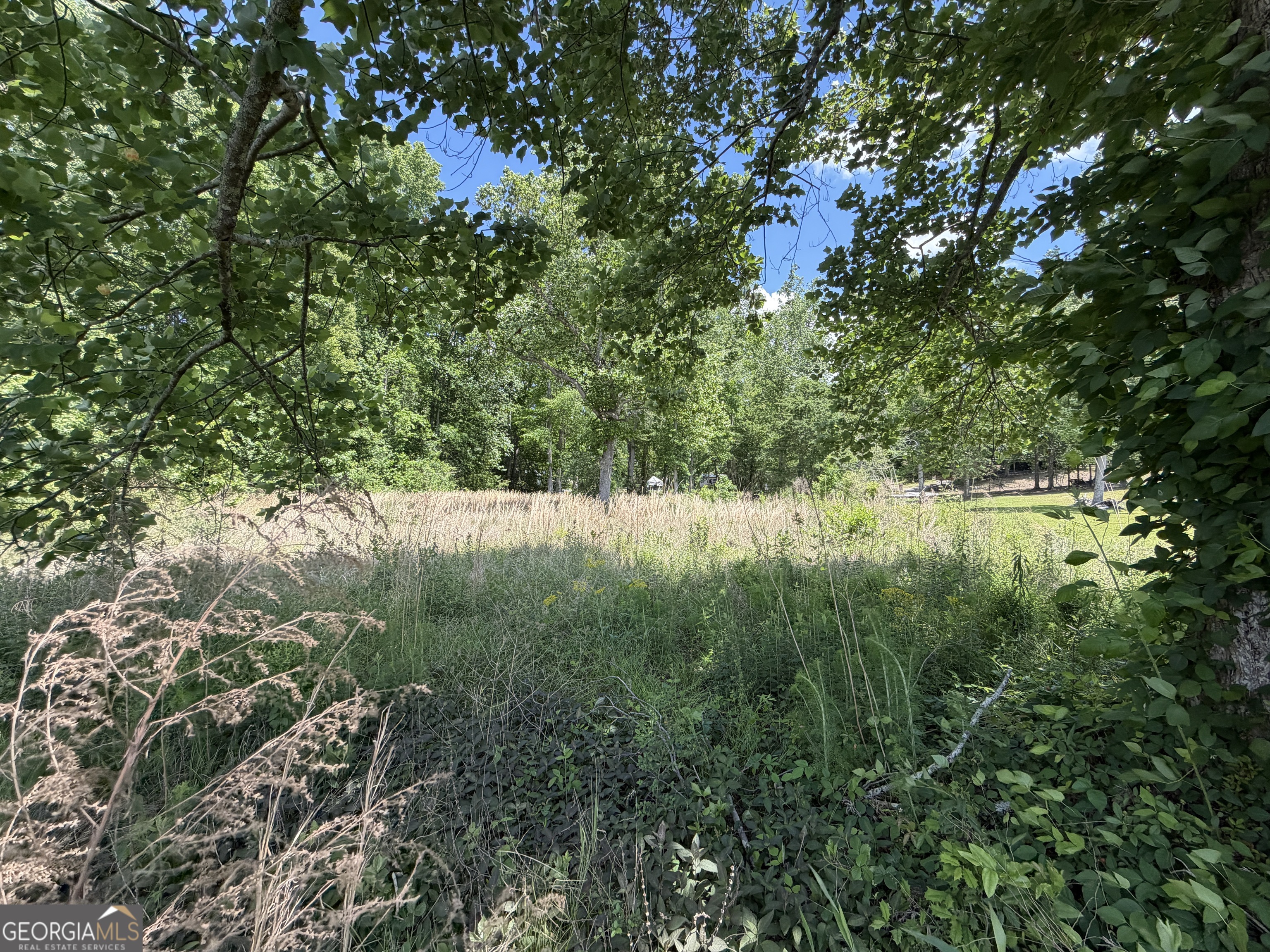 69 Acre Lakeshore Drive N Ivey GA 31031