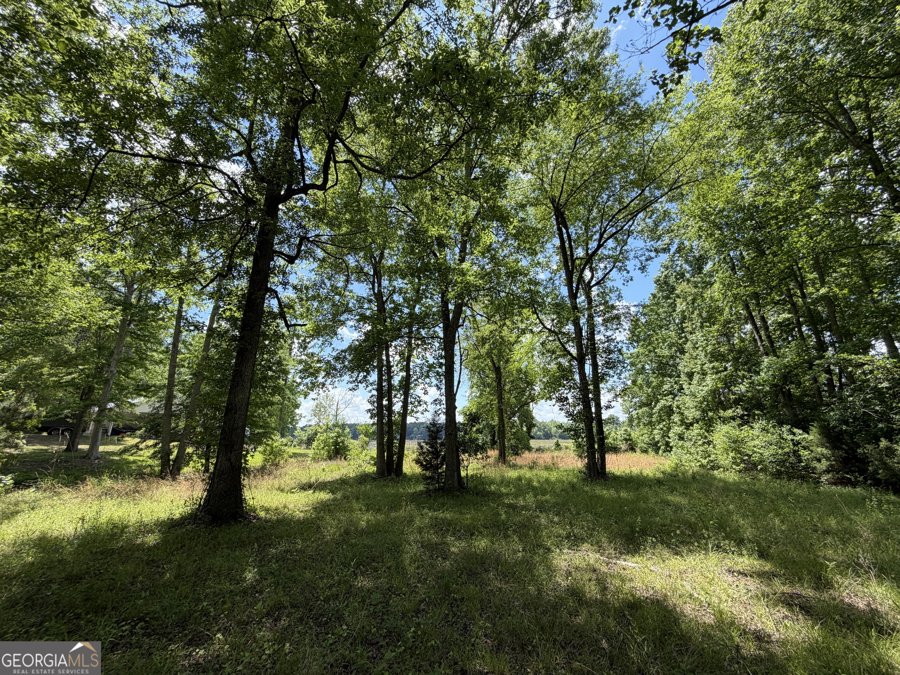 69 Acre Lakeshore Drive N Ivey GA 31031