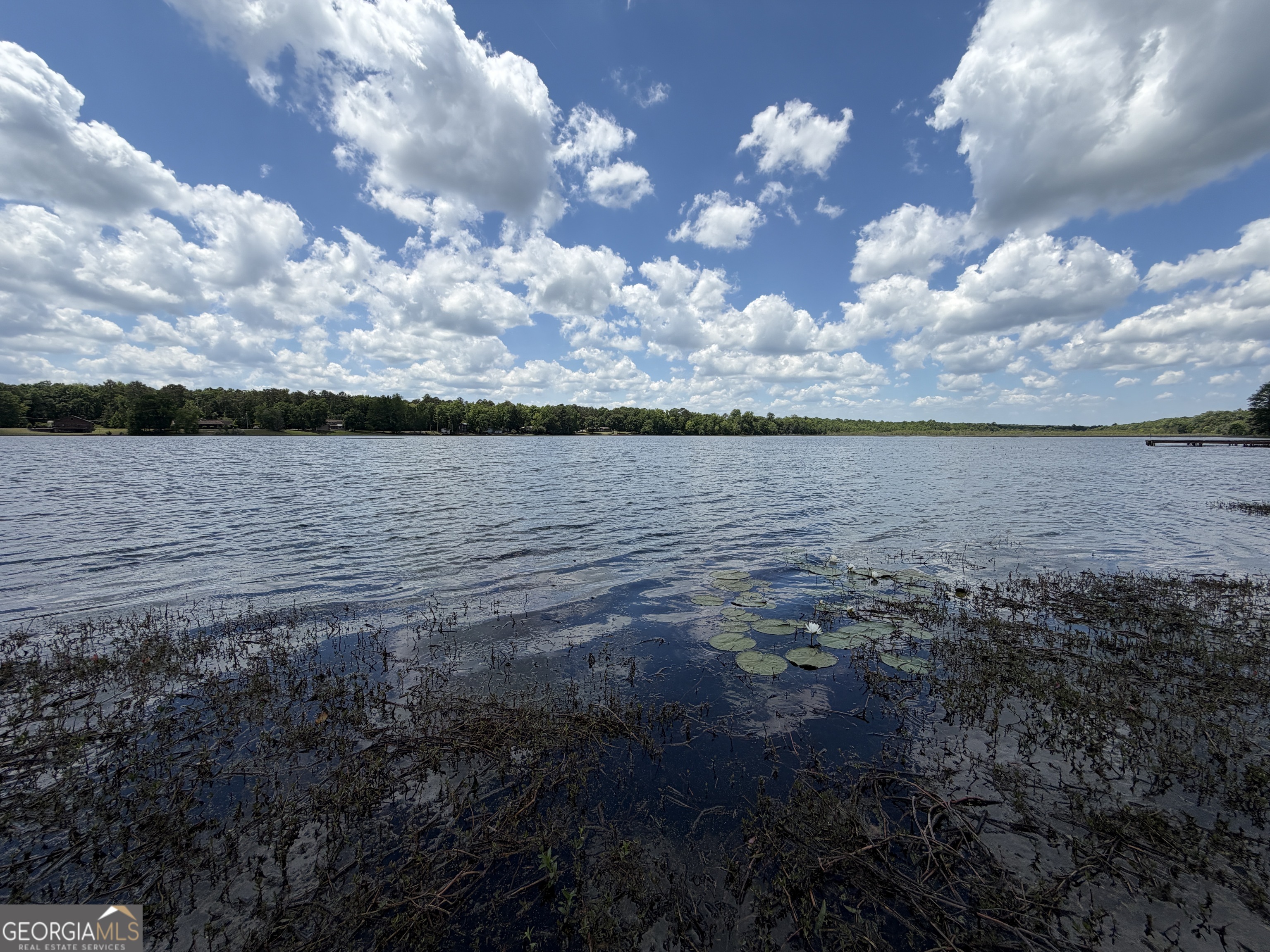 69 Acre Lakeshore Drive N Ivey GA 31031