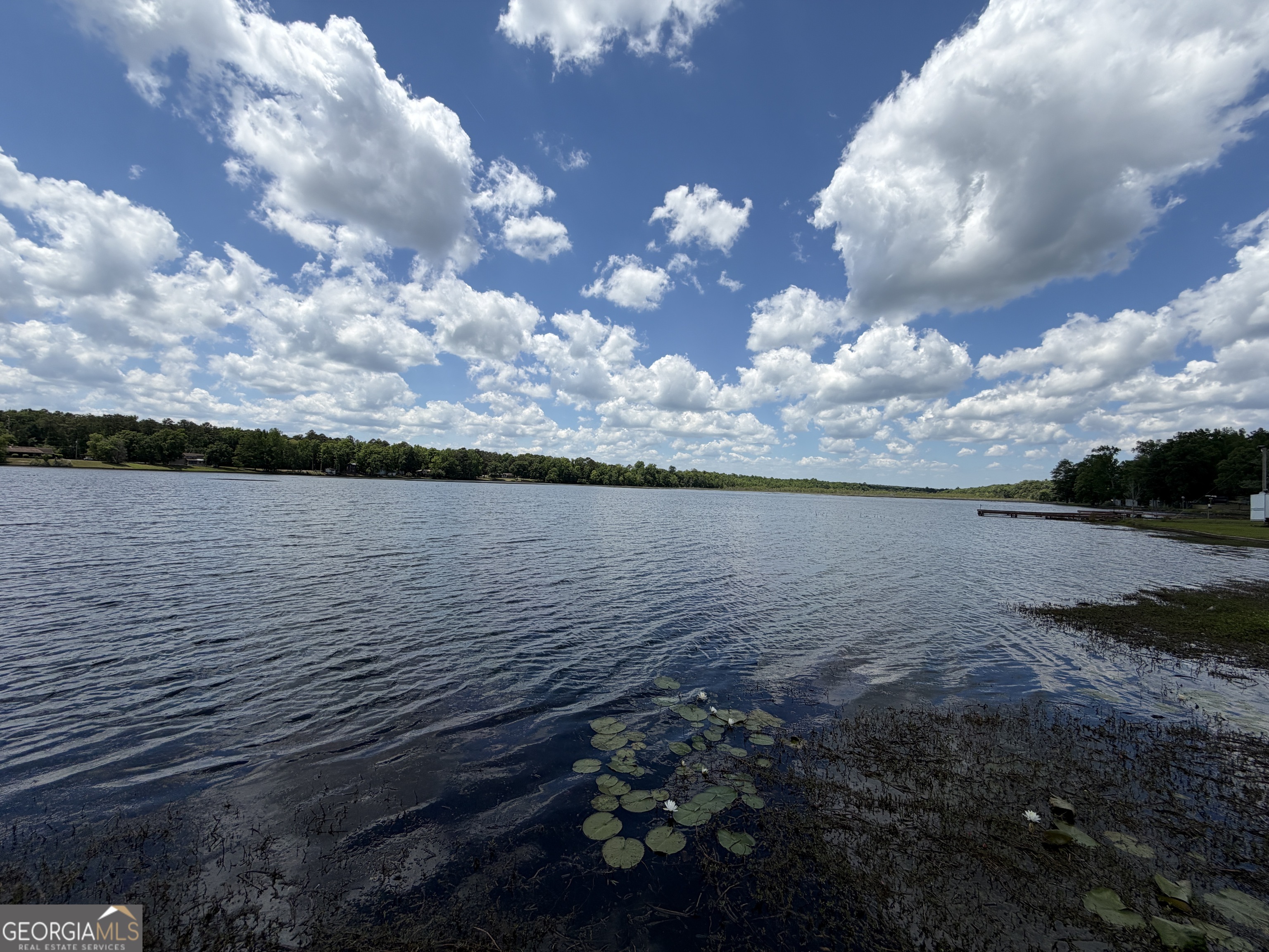 69 Acre Lakeshore Drive N Ivey GA 31031