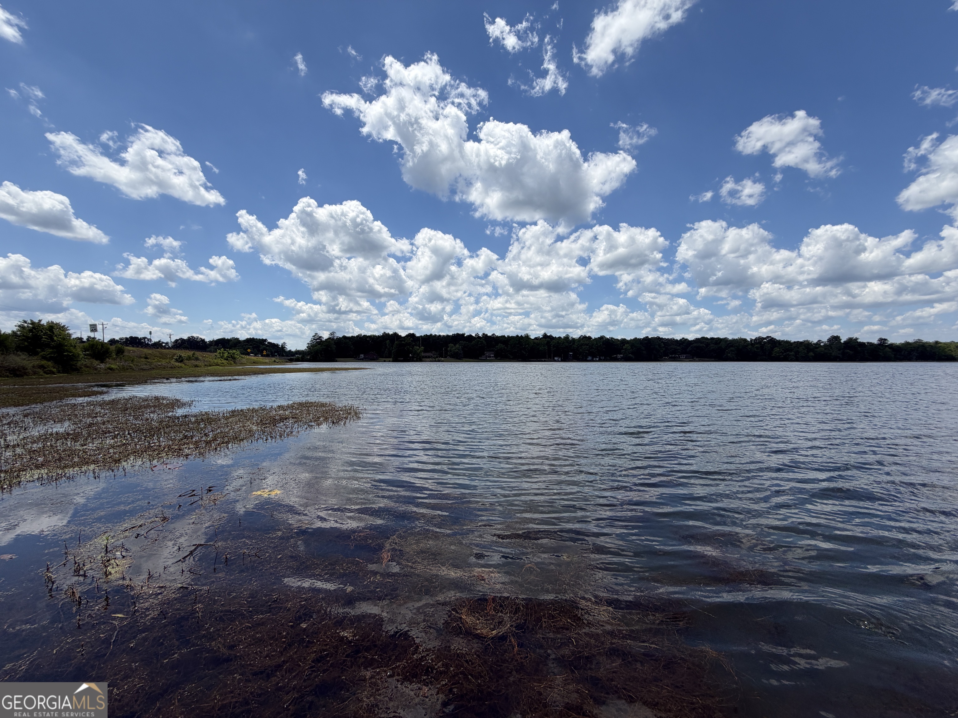 69 Acre Lakeshore Drive N Ivey GA 31031