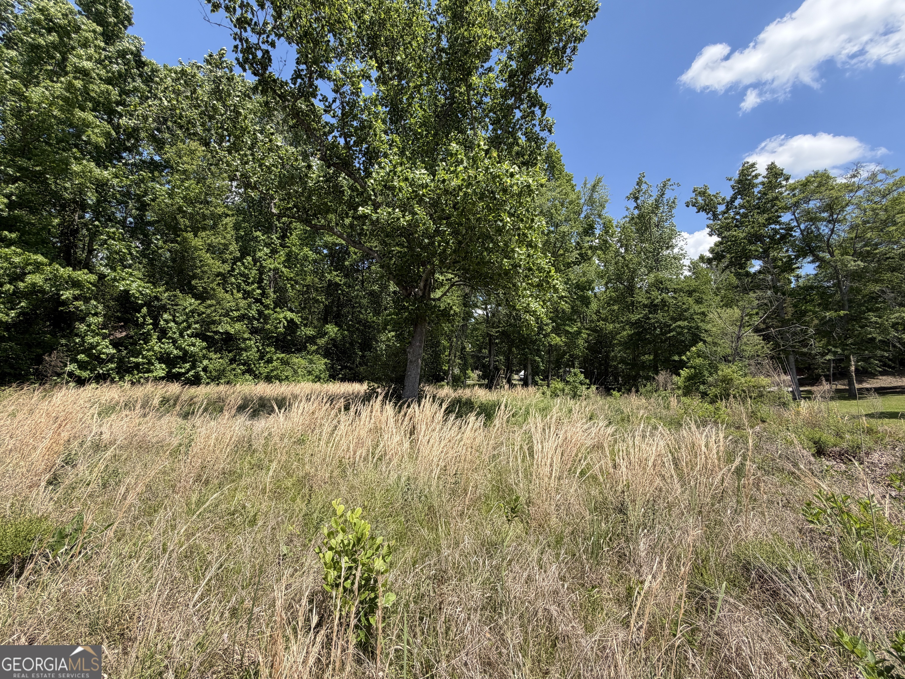 69 Acre Lakeshore Drive N Ivey GA 31031