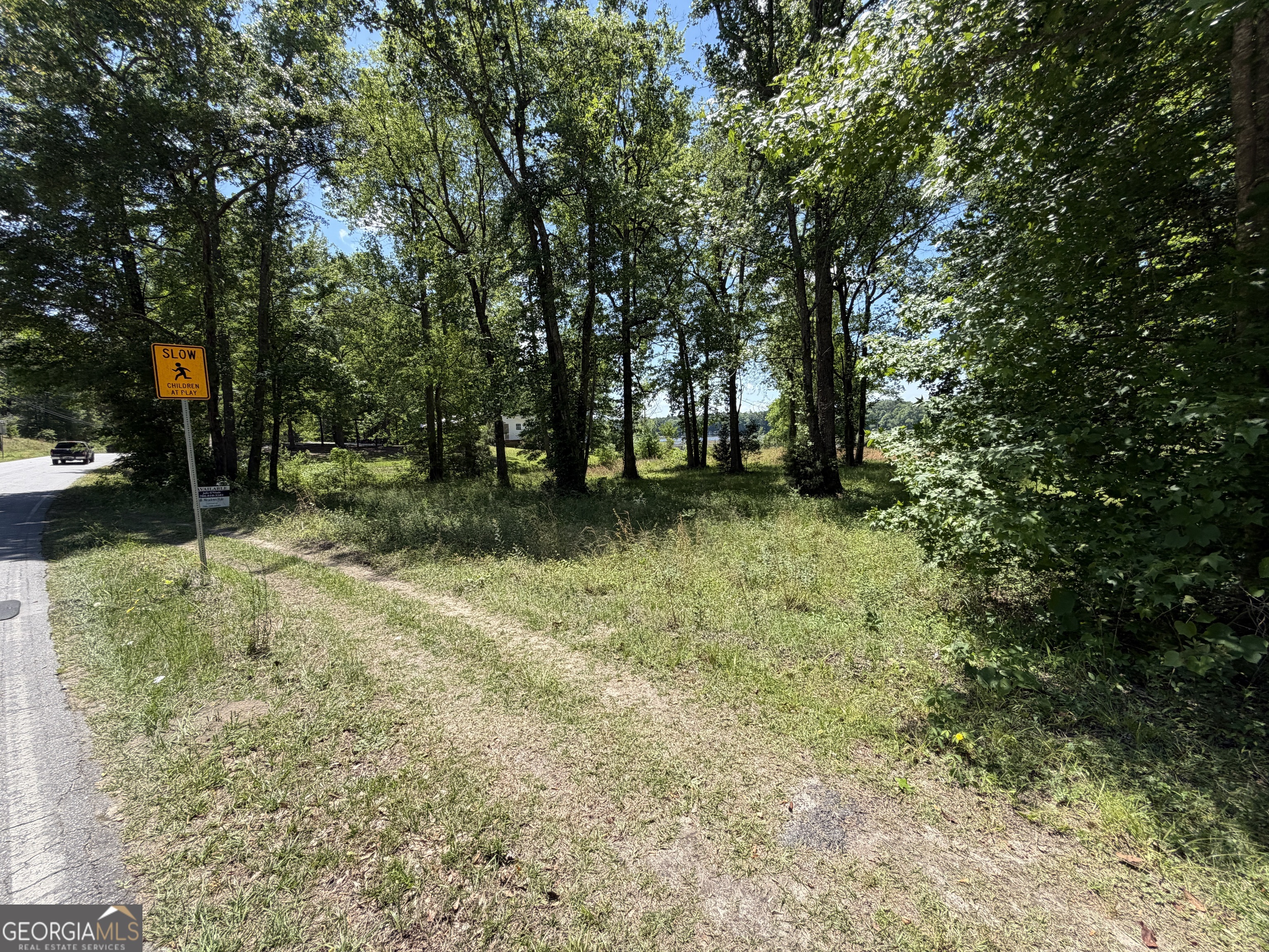 69 Acre Lakeshore Drive N Ivey GA 31031