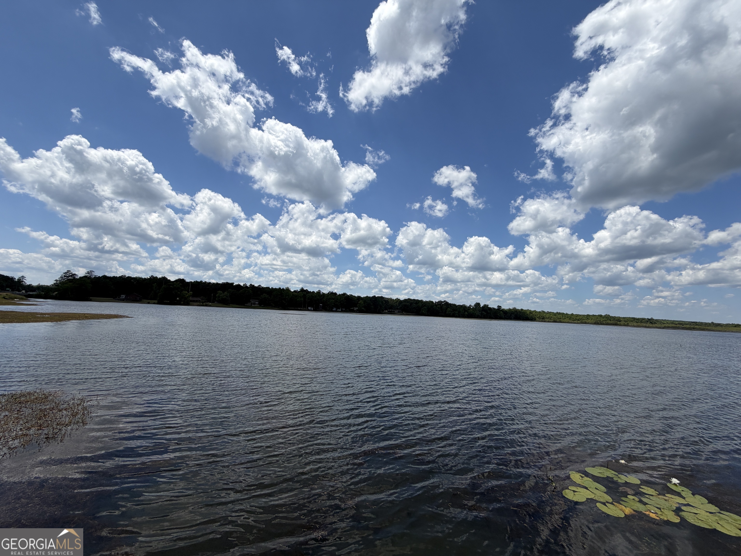 69 Acre Lakeshore Drive N Ivey GA 31031