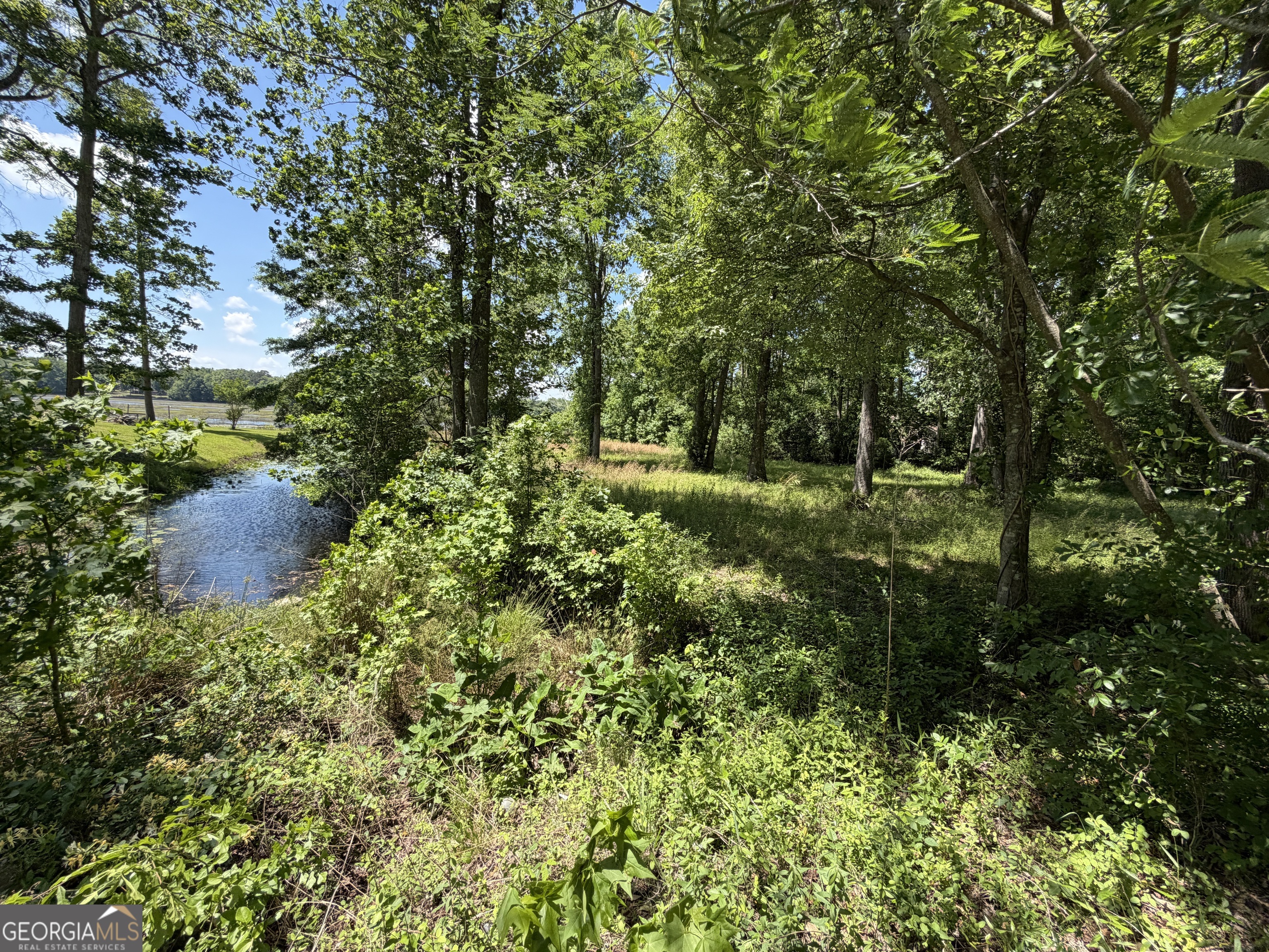 69 Acre Lakeshore Drive N Ivey GA 31031